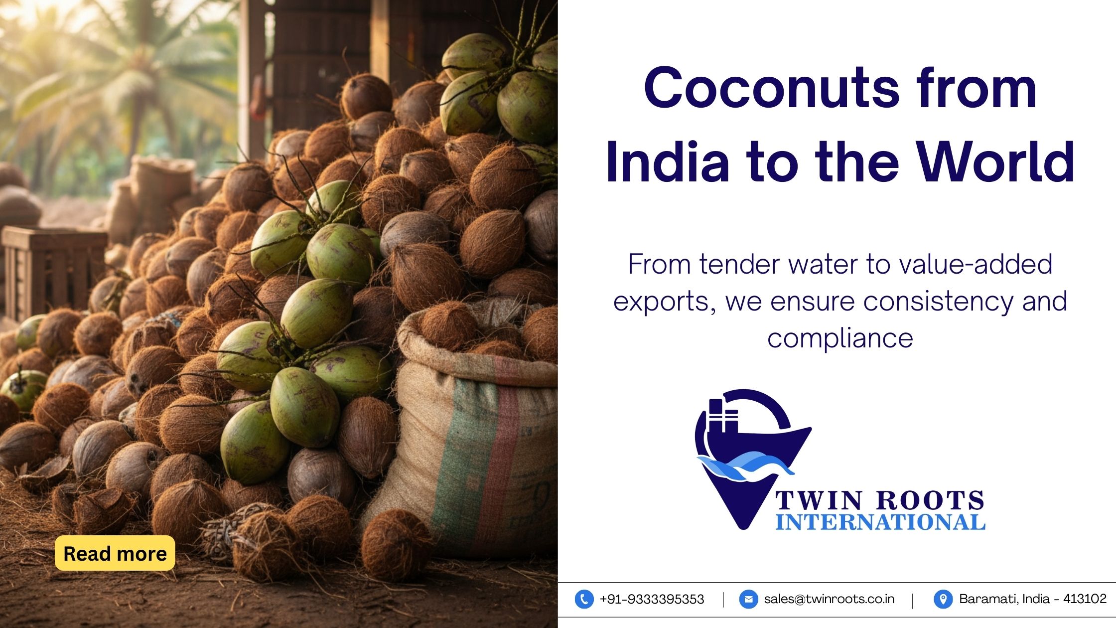 What Makes India’s Coconuts Stand Out in Global Markets